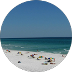 Profile photo of James Paul