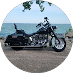 Profile photo of Michael Fabrizi