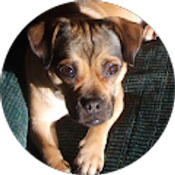 Profile photo of MANDY