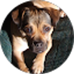 Profile photo of MANDY