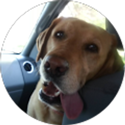 Profile photo of Alieliza2007 zaber