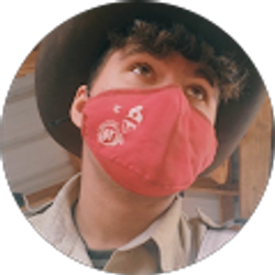 Profile photo of Stephen Gilbert