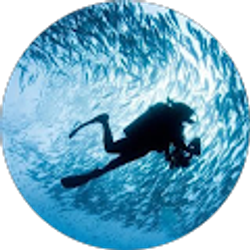 Profile photo of ariel glenn