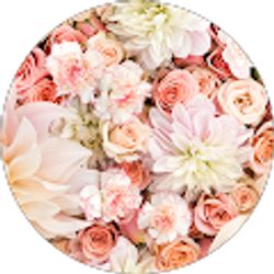 Profile photo of Summer Johnson