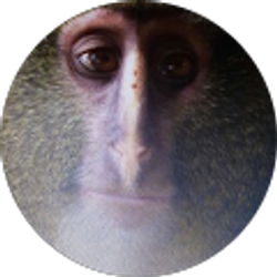 Profile photo of Tesfa