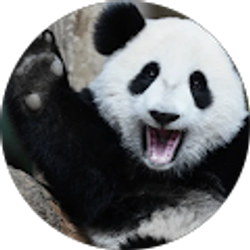 Profile photo of Elizabeth Franks