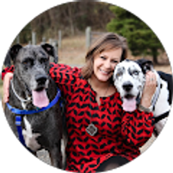 Profile photo of Dawn Stys