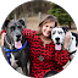 Profile photo of Dawn Stys