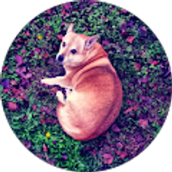 Profile photo of LitLord420