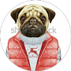 Profile photo of Kolbey Mifflin