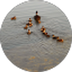 Profile photo of Laura Johnson