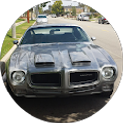 Profile photo of Musclman78TA1