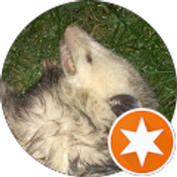 Profile photo of Robert Cedroni