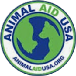 Profile photo of Matt Talbot