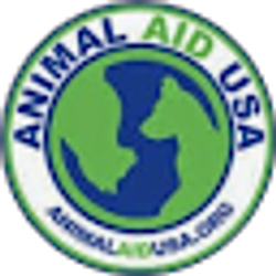 Profile photo of Matt Talbot