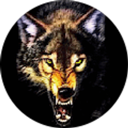 Profile photo of J Mayden