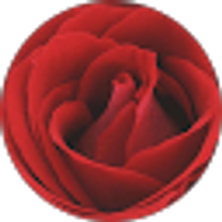 Profile photo of Kristin Arceneaux