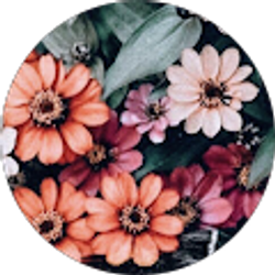 Profile photo of Cierra Prieto