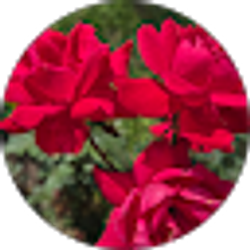 Profile photo of Admiration Day
