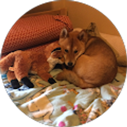 Profile photo of elizabeth davies