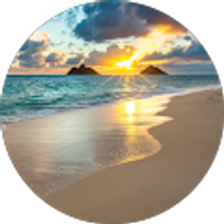 Profile photo of Sherwin Newton