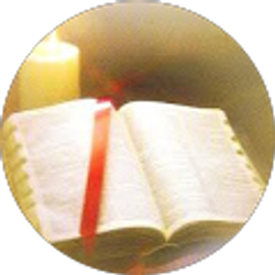 Profile photo of Shemesh