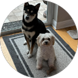 Profile photo of AJ&BJ