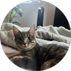 Profile photo of Angelica Gomez