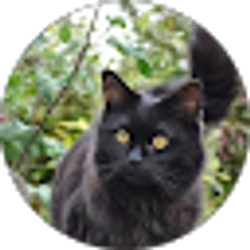 Profile photo of Dana Bedolla