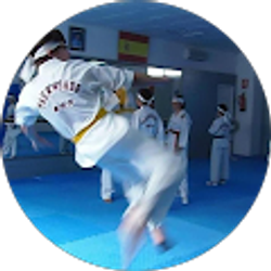 Profile photo of AJ Belasco