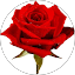 Profile photo of 222tres 222tres