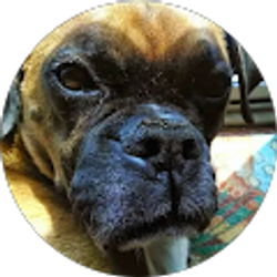 Profile photo of Brandi Lawhorn