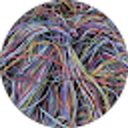 Profile photo of James Howlett