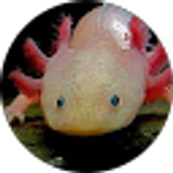 Profile photo of Kyo Brown