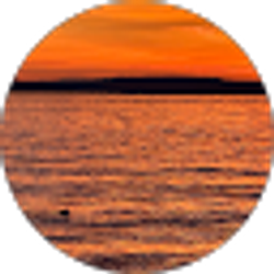 Profile photo of Silvia Melchor