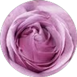 Profile photo of Sue Smigelsky