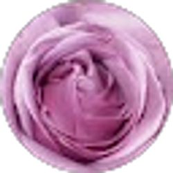 Profile photo of Sue Smigelsky