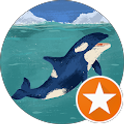 Profile photo of Kim Vercruysse