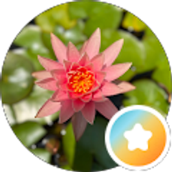 Profile photo of Jay