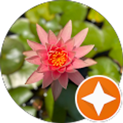 Profile photo of Jay