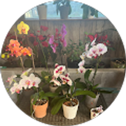 Profile photo of Elizabeth O'Brien