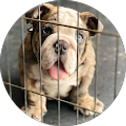 Profile photo of Alejandro Gonzalez Salazar