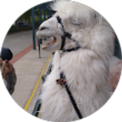 Profile photo of Atom Moore