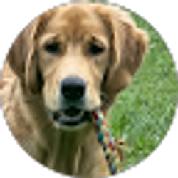 Profile photo of Karen Peace