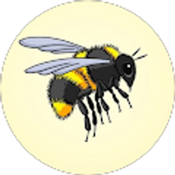 Profile photo of Dave Hummel