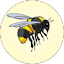 Profile photo of Dave Hummel