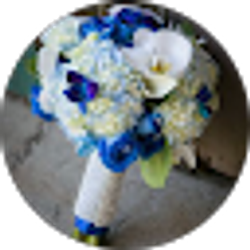 Profile photo of Tiffany Williams