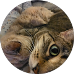 Profile photo of Kathy Berryman