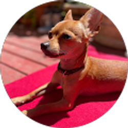 Profile photo of Beth Ramey