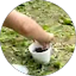 Profile photo of Mike Montesano